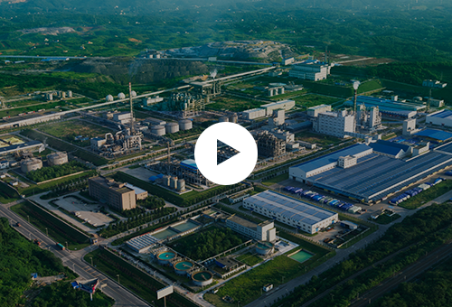 1xBET��Signup(�й���)-�ٷ���վ