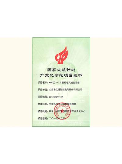 国度火炬打算